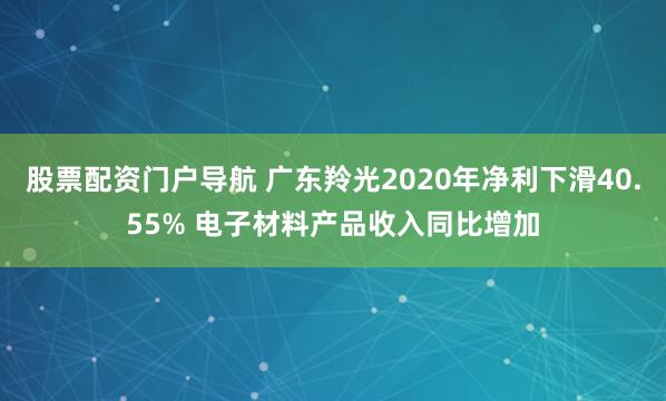 股票配资门户导航 广东羚光2020年净利下滑40.55% 电子材料产品收入同比增加