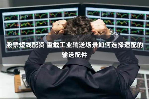 股票短线配资 重载工业输送场景如何选择适配的输送配件