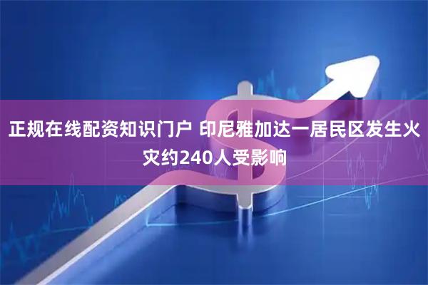 正规在线配资知识门户 印尼雅加达一居民区发生火灾约240人受影响